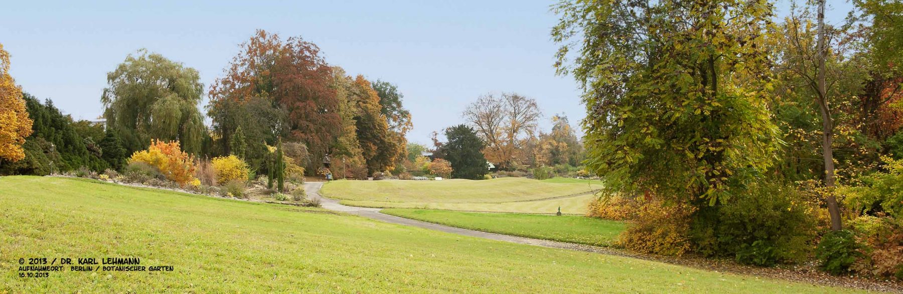 Botanischer Garten, Beitragsbild