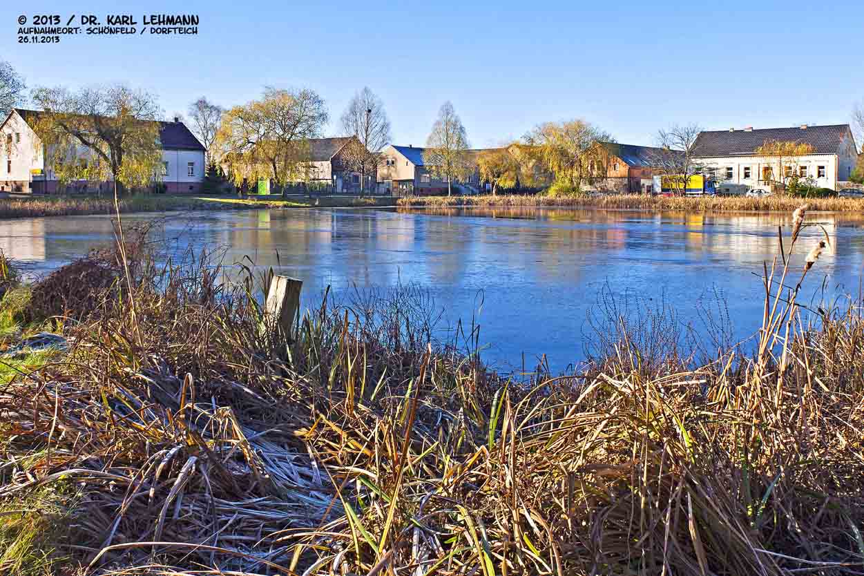 Schönfeld