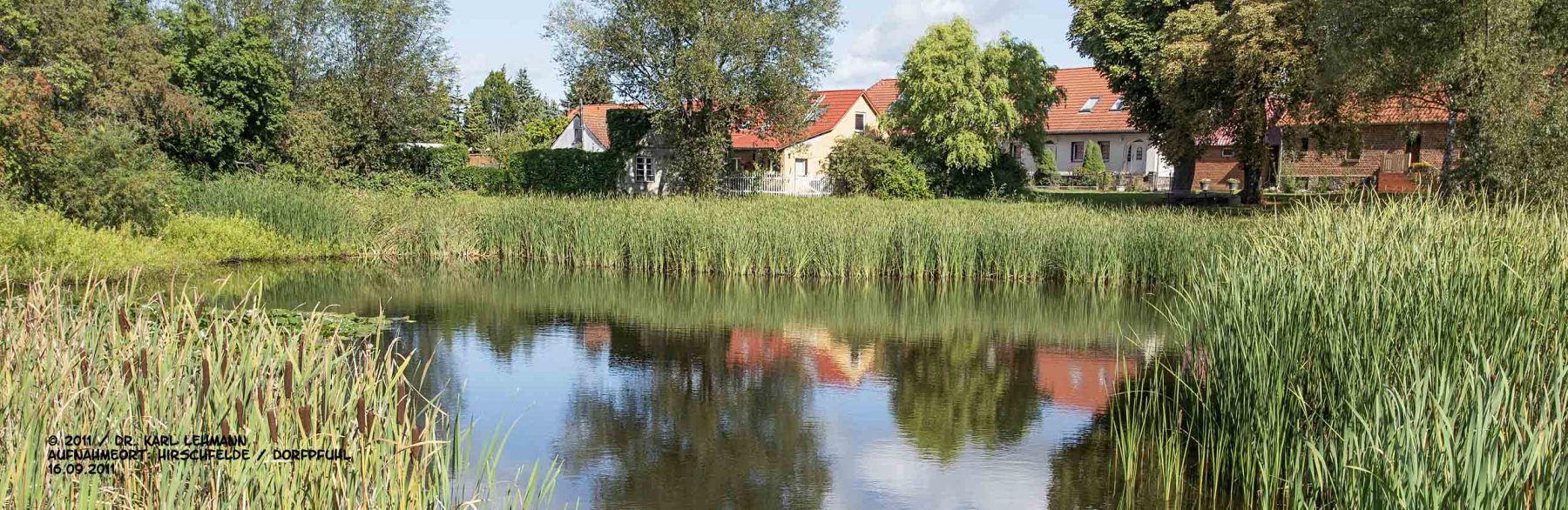 Hirschfelde, Dorfpfuhl