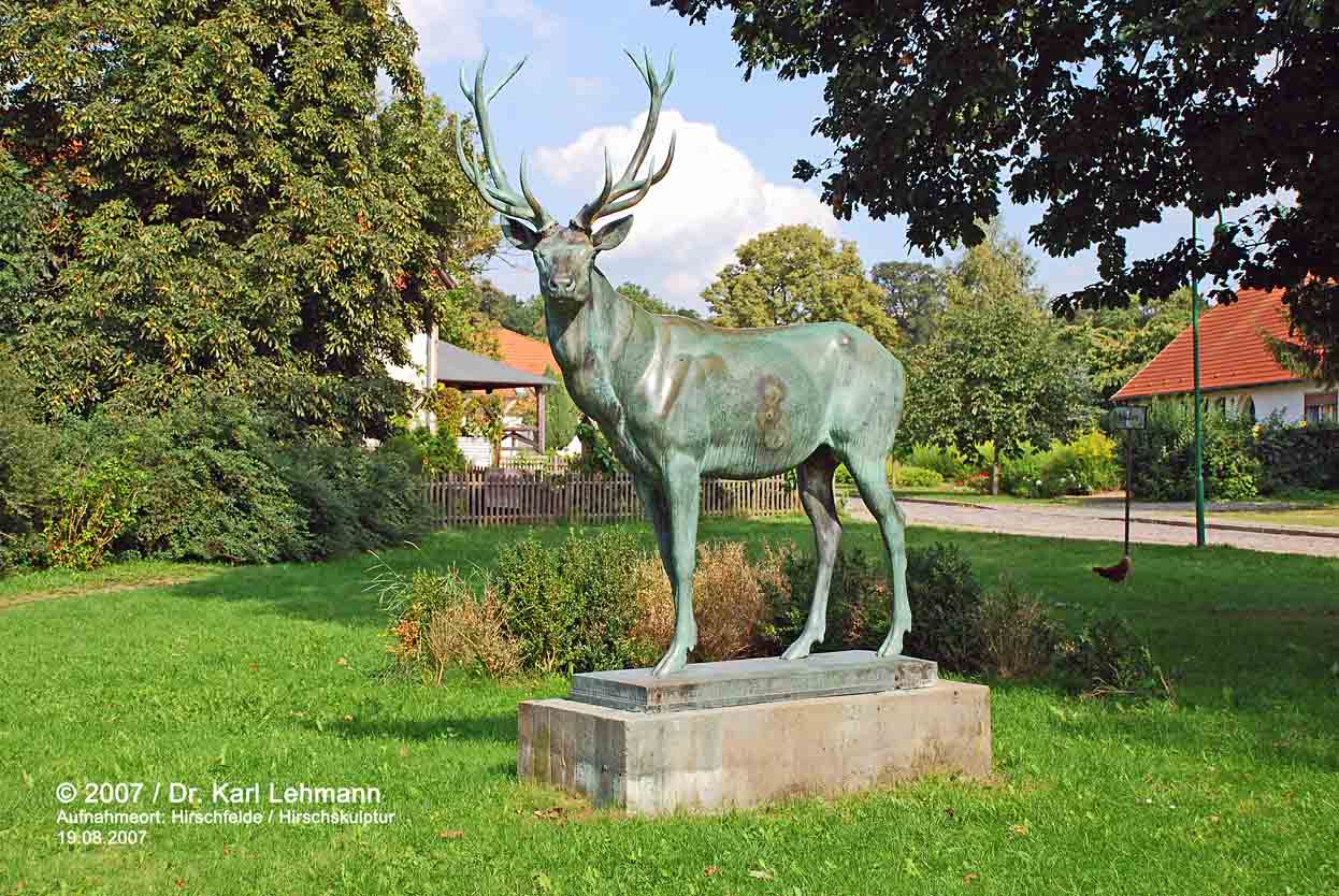 Hirsch Hirschfelde