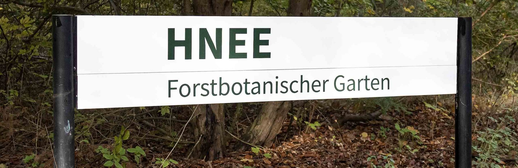 Forstbotanischer Garten Beitragsbild