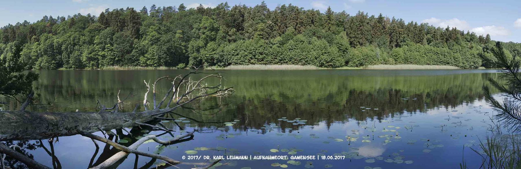 Beitragsbild Gamensee